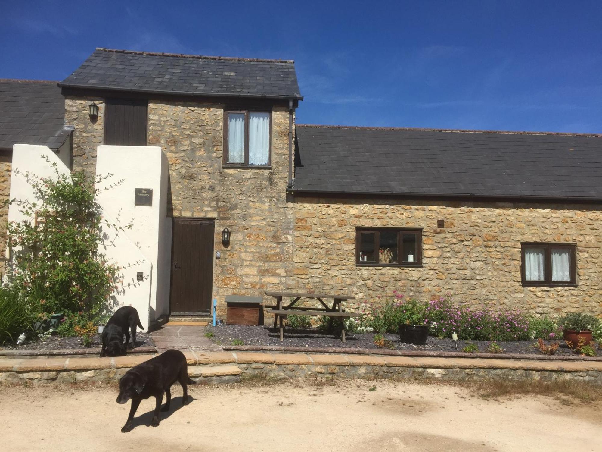 Bakers Mill Holiday Cottages Beaminster Eksteriør bilde